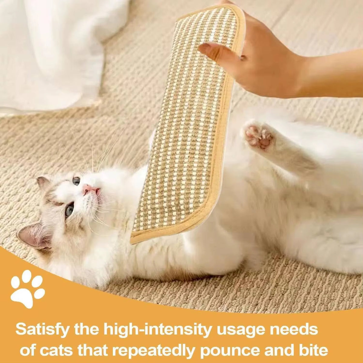 Catnip Interactive Scratcher Toy